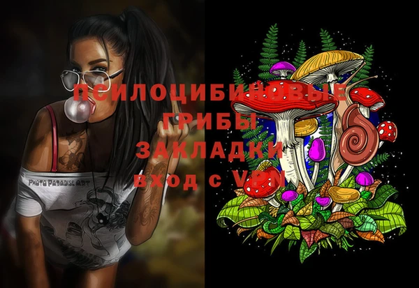 мяу мяу мука Арсеньев
