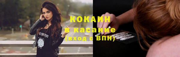 мяу мяу мука Арсеньев