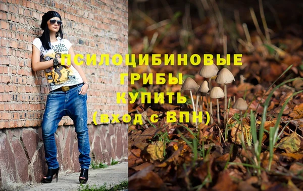 мяу мяу мука Арсеньев