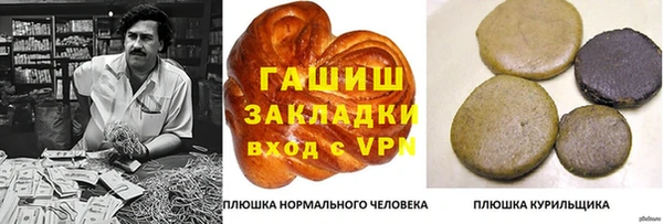 крисы Армянск