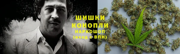 PSILOCYBIN Аркадак