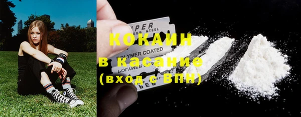 мяу мяу мука Арсеньев